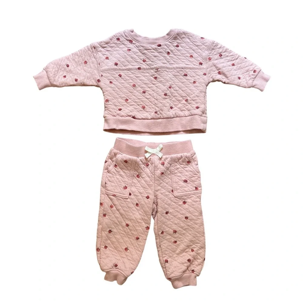 Carter's Quilted Sweatshirt Jogger Set Kids Pink Excellent Apple‎ Print SIZE 12M